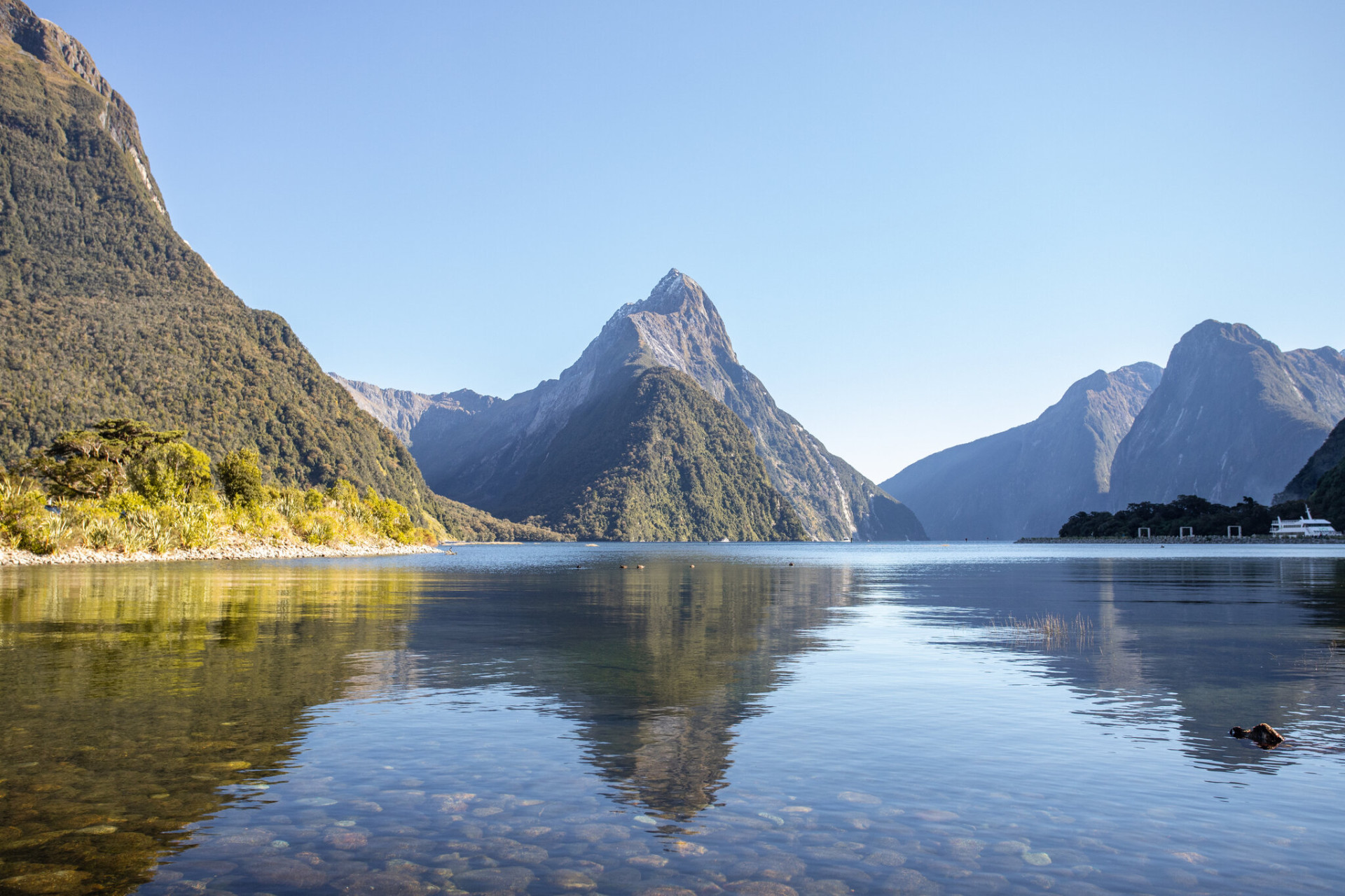 Mitre Peak Milford
