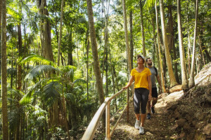 Gold Coast Hinterland