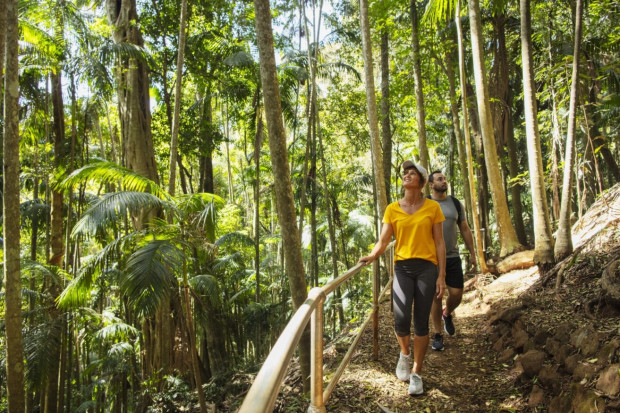 Gold Coast Hinterland