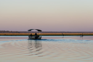 Botswana Water Safari AdobeStock 2032692107