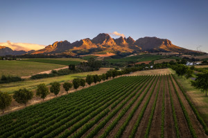 Golden Mountain Stellenbosch AdobeStock 1848900723 c.Peerawat