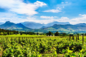 Stellenbosch AdobeStock 197039407 c.hpbfotos