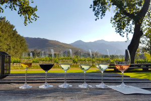 Wine Tasting Stellbosch AdobeStock 371169908 c.LuizAntonio