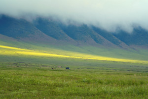 Grasslands Ngorongoro Crater iStock 2241357609 cSimon Skafar R