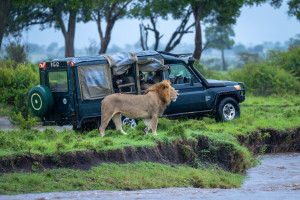Kenya Safari Vehicle shutterstock 2549059183 c.Nick Dale Photo R