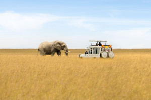 Masai Mara Savanna iStock 1417487256 c.Mongkolchon Akesin R