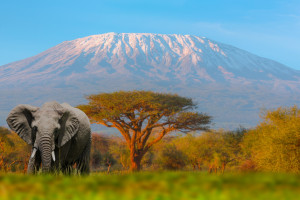 Mount Kilimanjaro iStock 1081340204 c.1001slide R