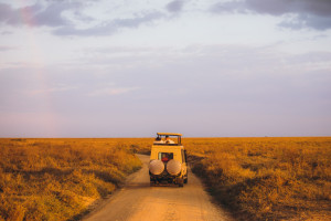 Serengeti National Park iStock 1307560220 c.VirtualStories R