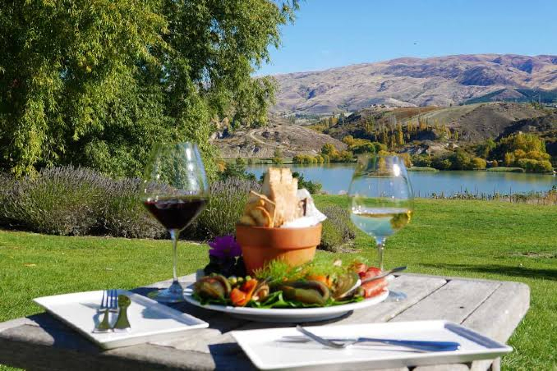 Appellation Gourmet Wine Tour