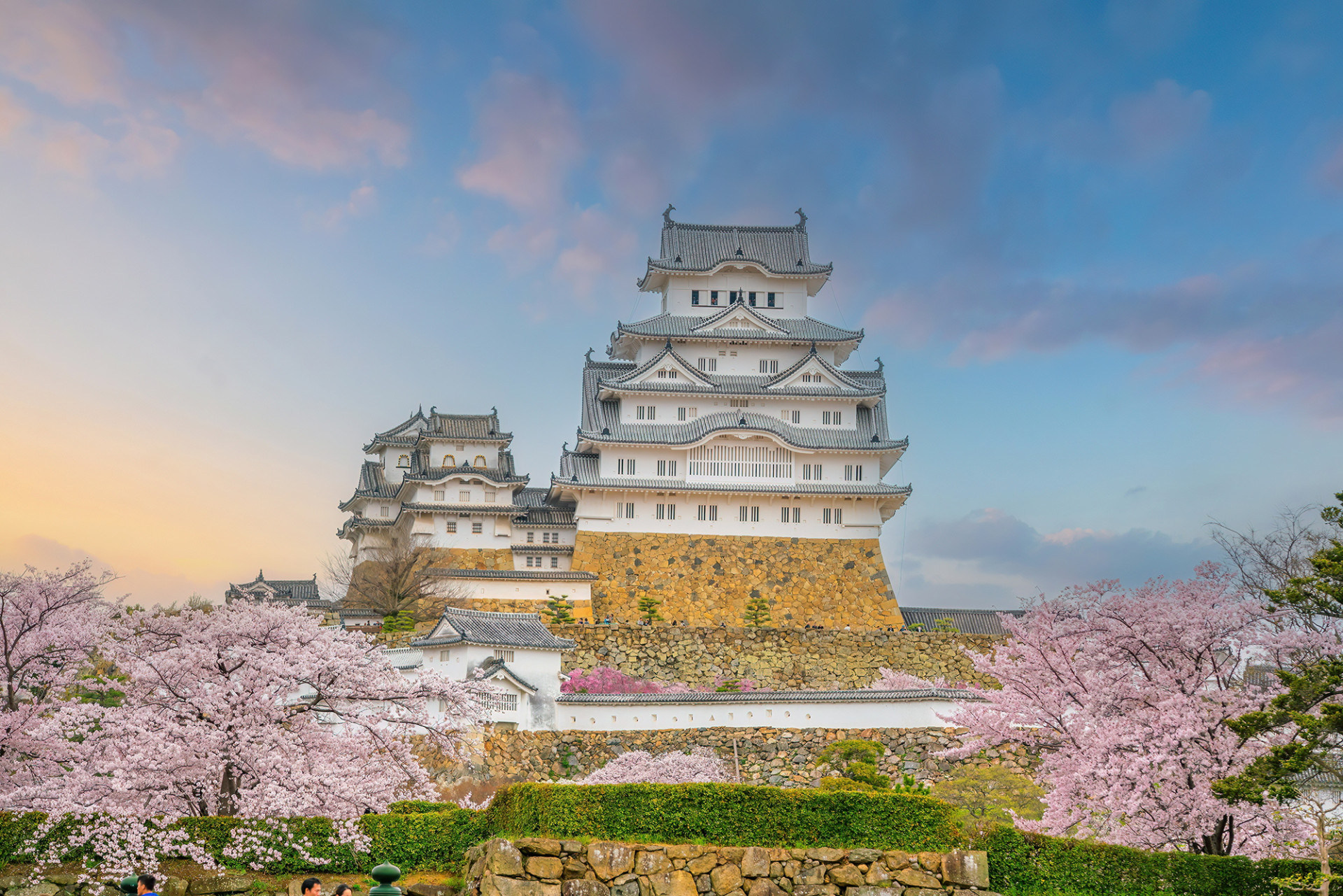 Himeji Castle in spring