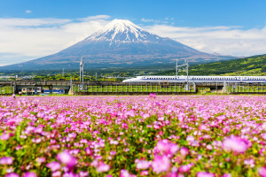 Shinkansen bullet train passing Mt Fuji AdobeStock 152406536 web