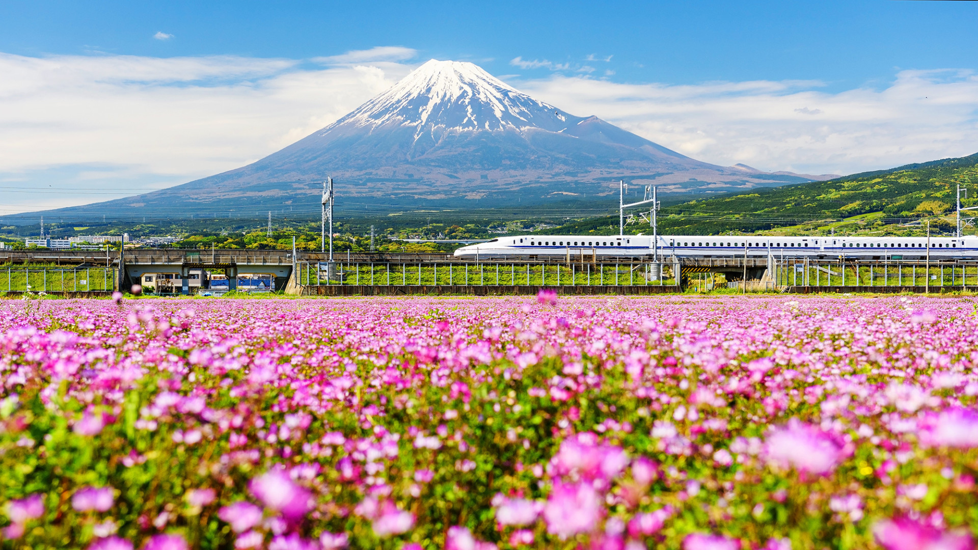 Shinkansen bullet train passing Mt Fuji