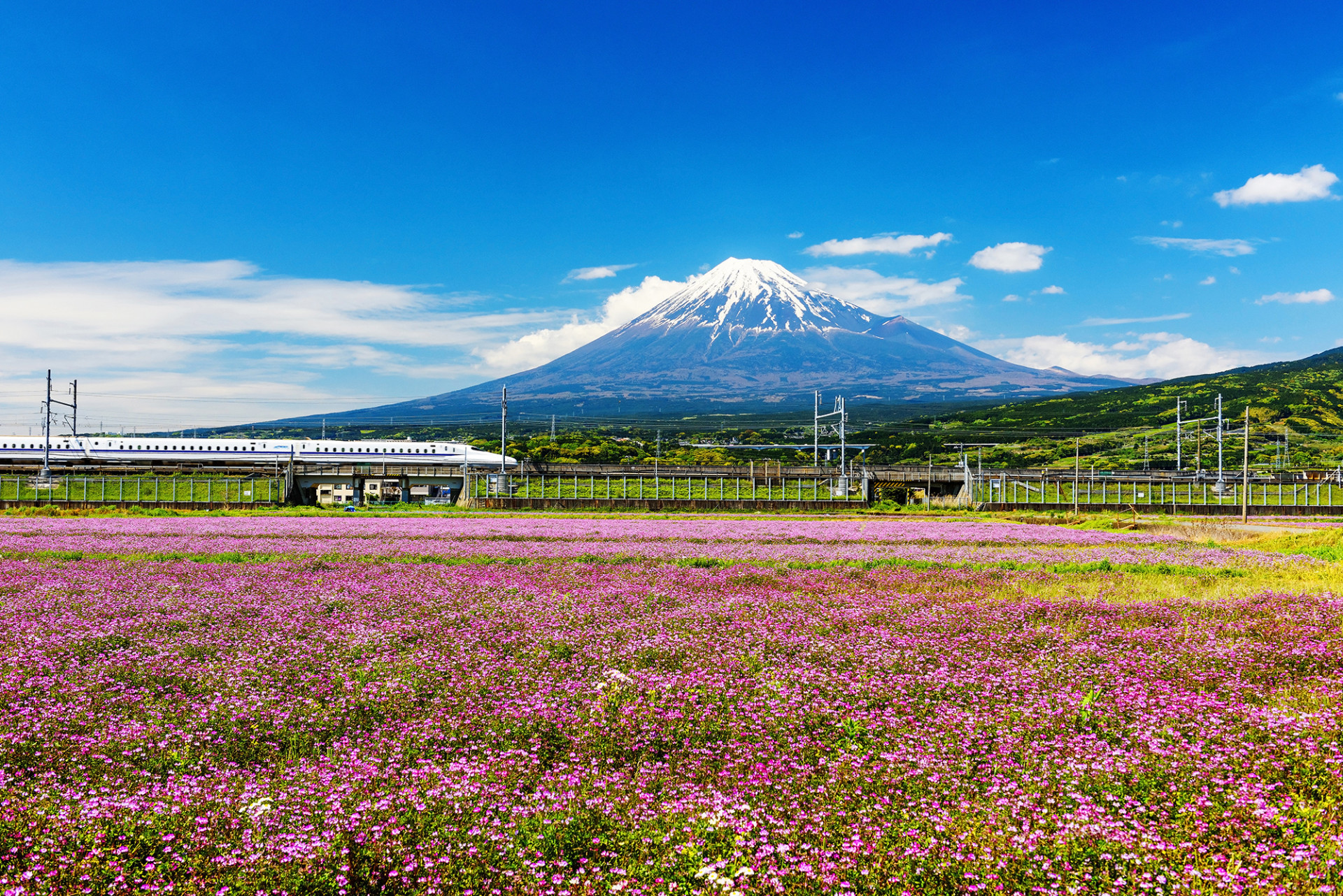 Shinkansen bullet train passing Mt Fuji