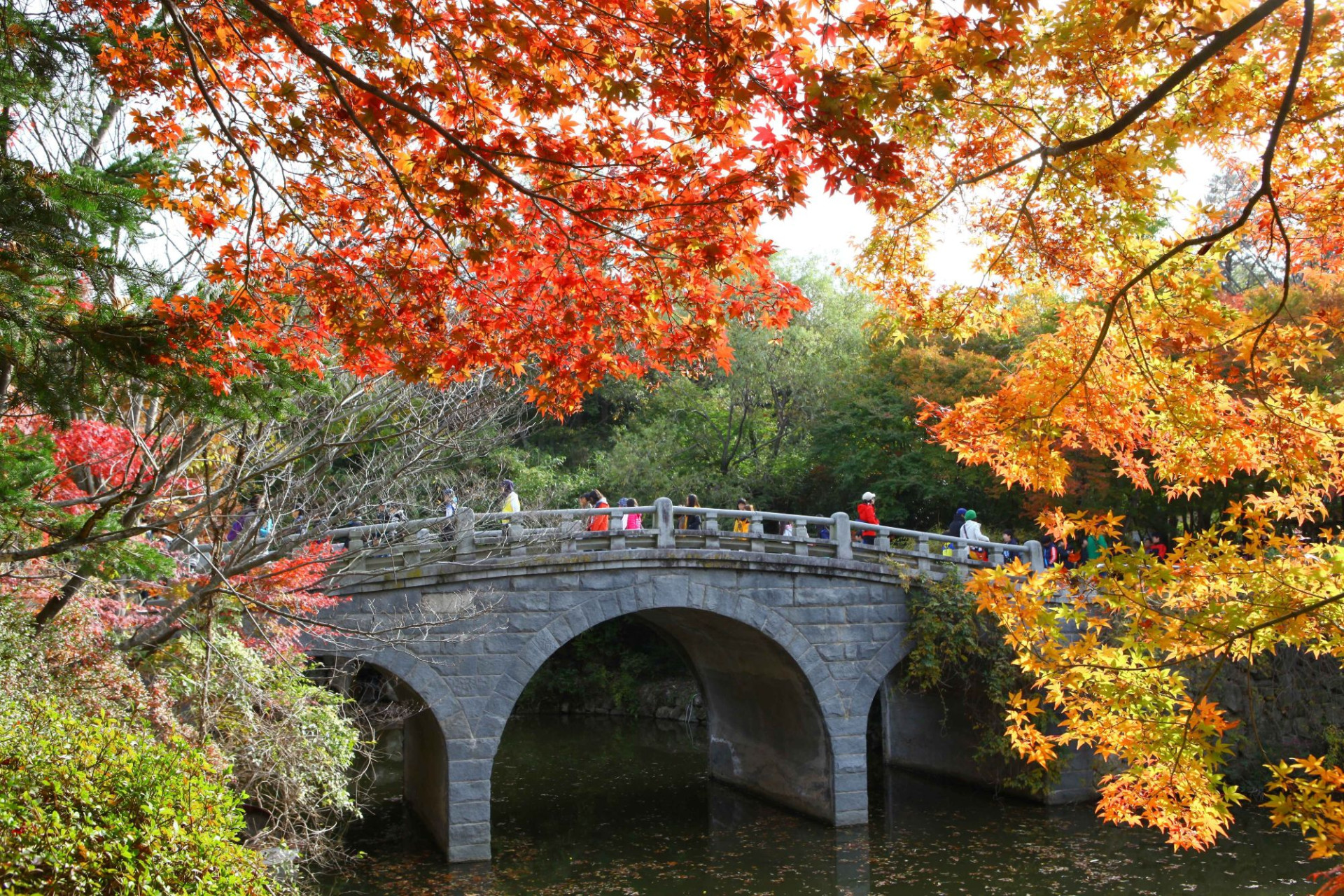 Bulguksa Temple 1
