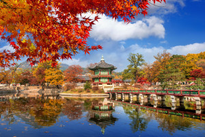 Gyeongbokgung Palace shutterstock 1508293559 Guitar photographer