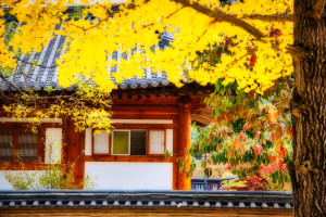 Unmunsa temple Korea shutterstock 2029987004 c.Wirestock Creators
