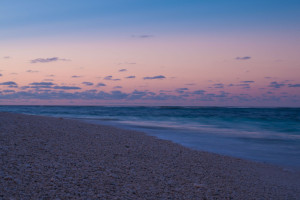 Lady Elliot Island 134925 c.Matt Raimondo TEQ