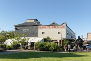 Penfolds Barossa 1070142 74 c.TA SATC R