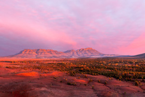 Wilpena Pound 258629 73 c.Michael Waterhouse Photography R