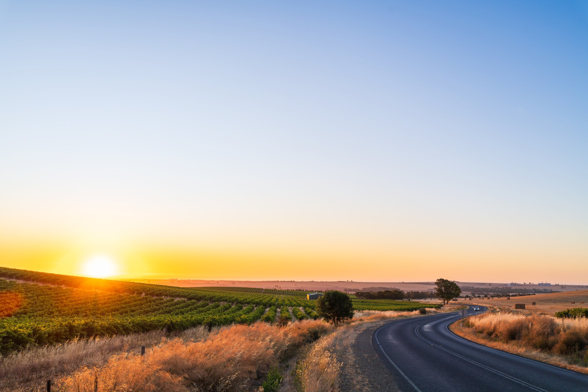 Barossa Wine Region iStock 2197584205 c.moisseyev R