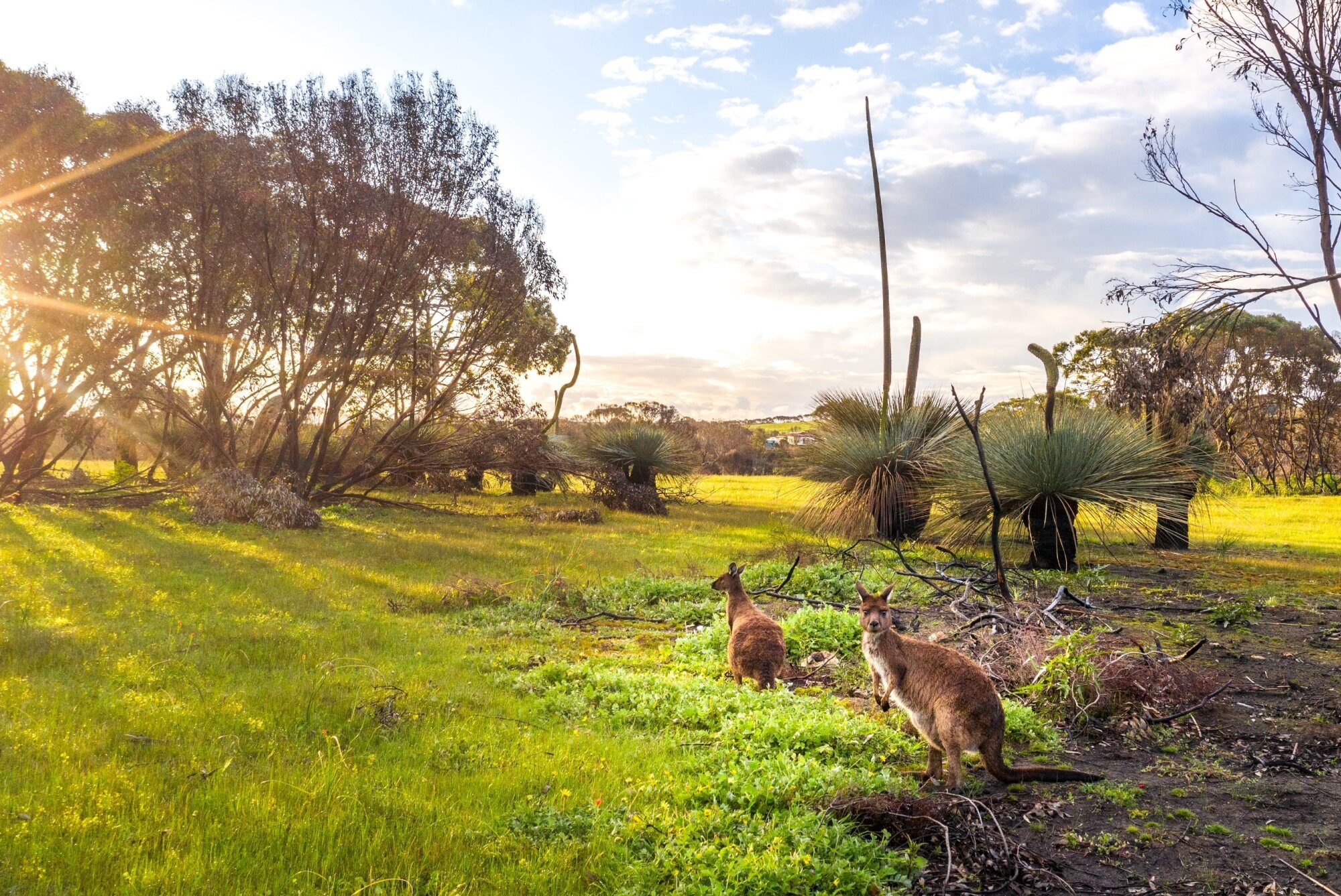 South Australia Gourmet Journey – Adelaide, Barossa & Red Centre