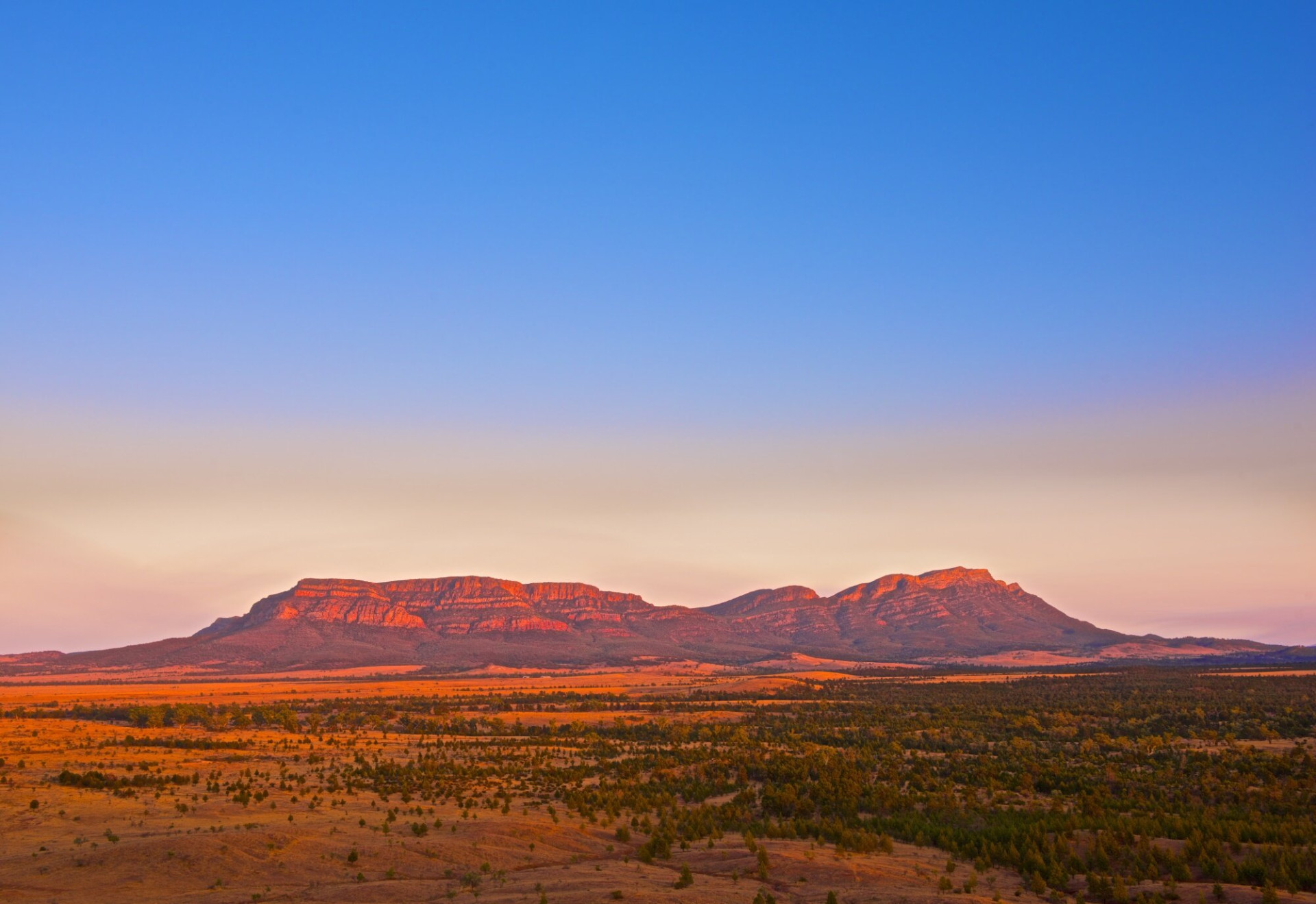 Wilpena Pound 649310 c Wilpena Pound Resort