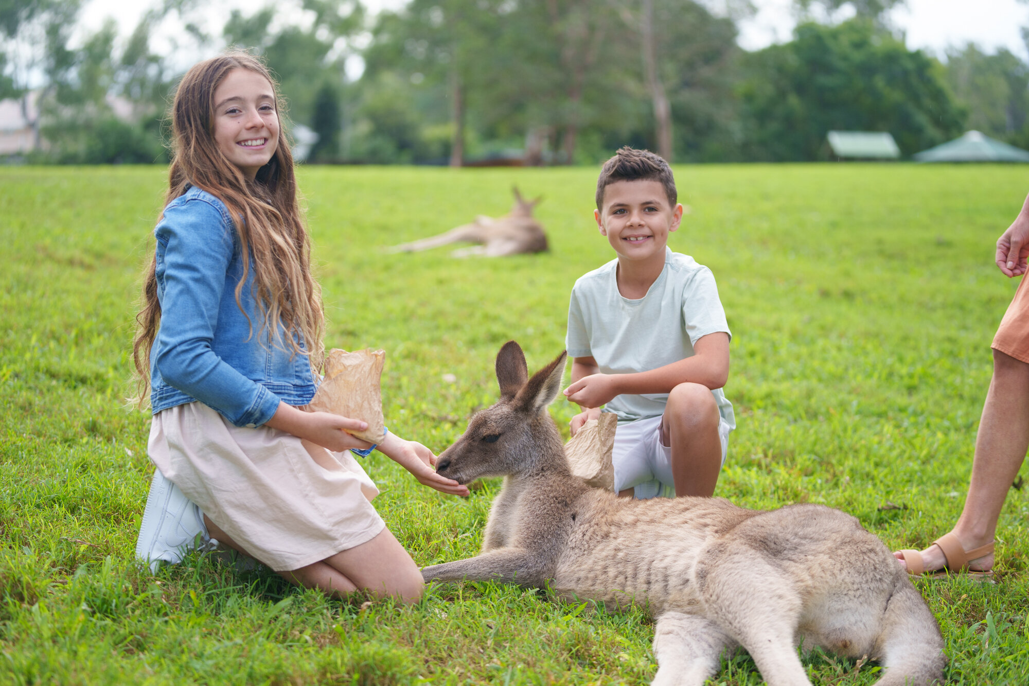 Australia Sunshine Explorer – Gold Coast, Brisbane, Hamilton Island & Cairns