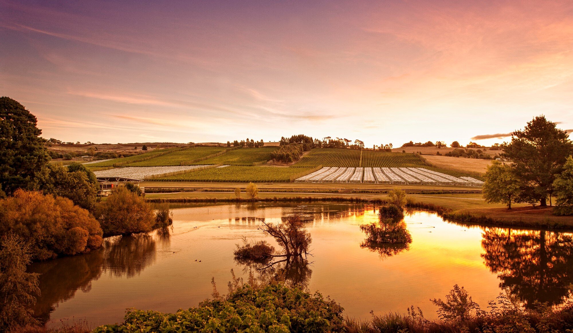 Taste of Tasmania – Gourmet Food & Wine Tour