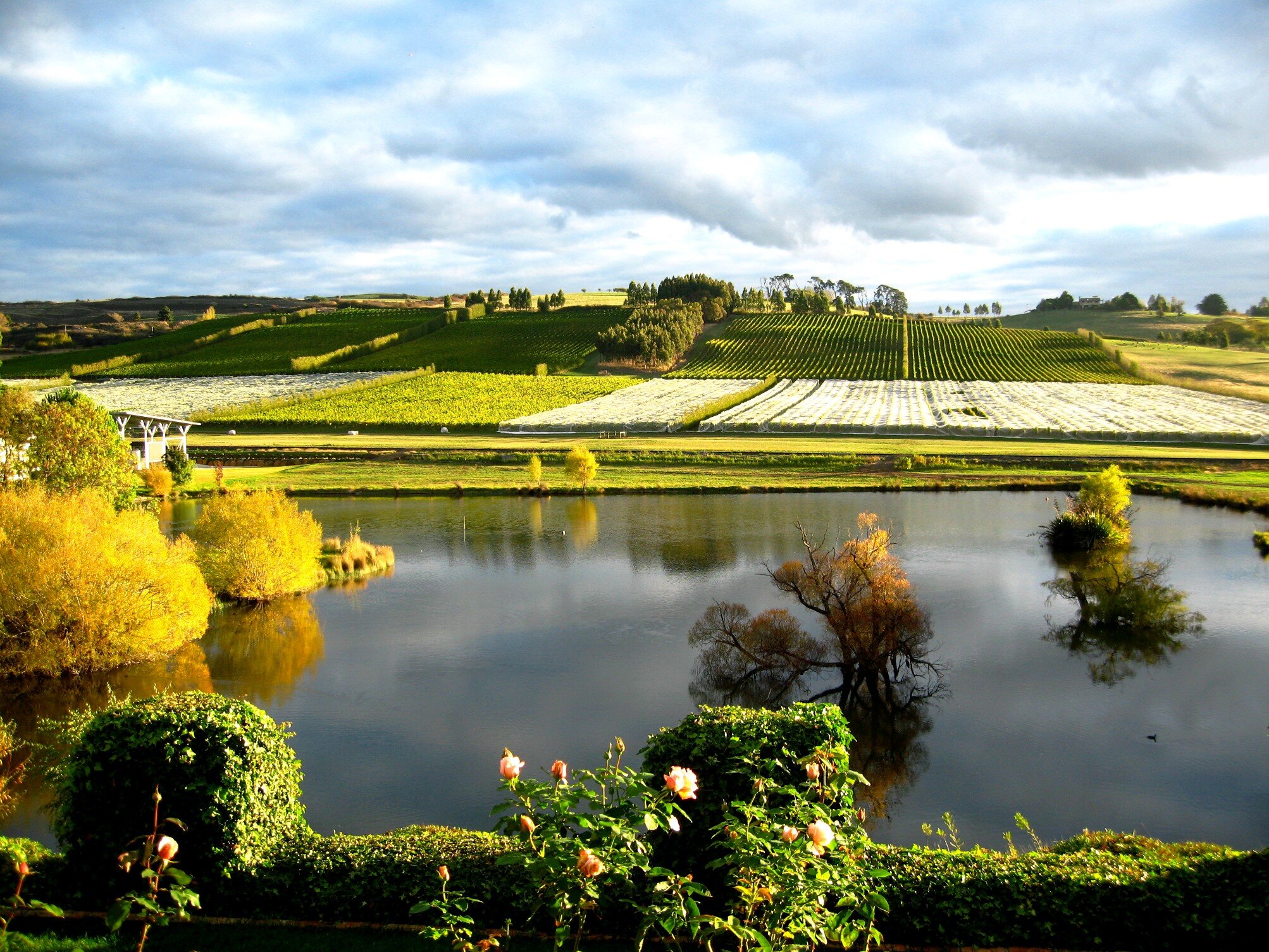 Taste of Tasmania – Gourmet Food & Wine Tour
