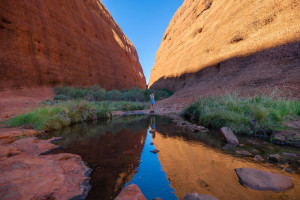142159 Walpa Gorge Kata Tjuta 3 Tourism NT