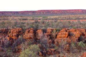 Kings Canyon 1025174 41 c.Tourism Australia
