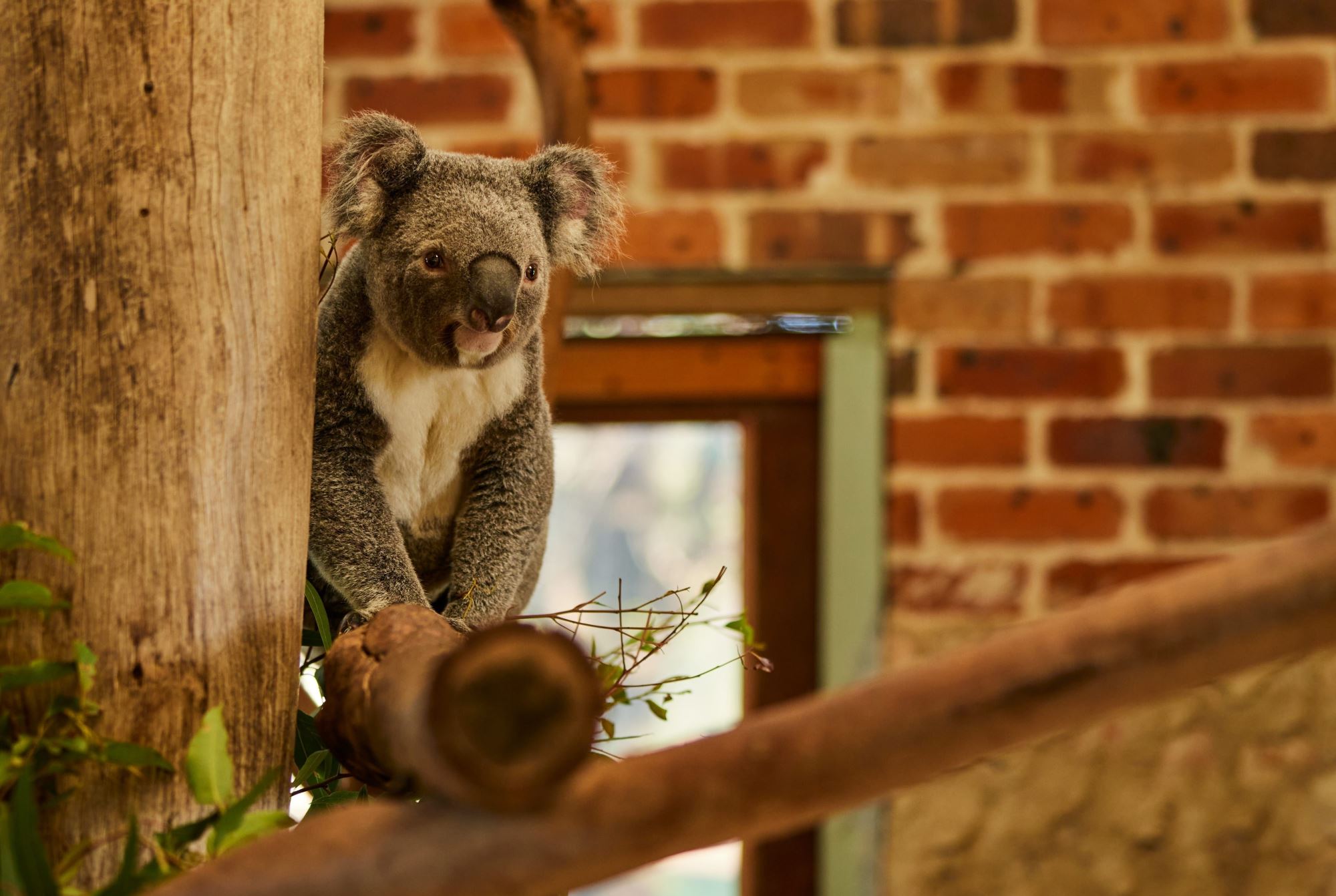 Australia Highlights – Melbourne, Uluru, Cairns & Sydney