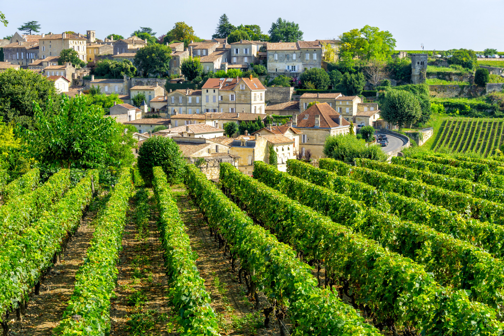Saint Emilion Nouvelle Aquitaine region France AdobeStock 488432519 web