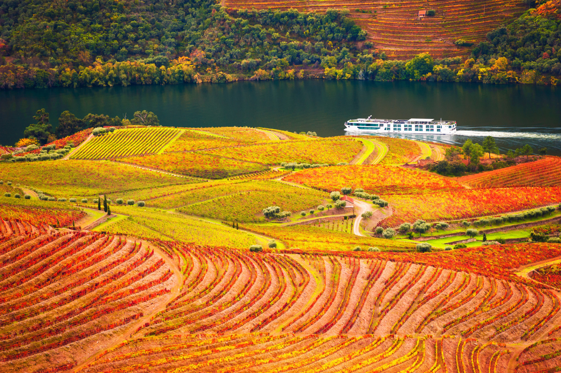 Douro Valley autumn  Portugal AdobeStock 320393698 web