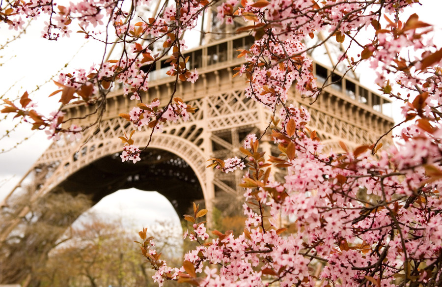 France: Paris in Springtime -Including Flights on Air Tahiti Nui