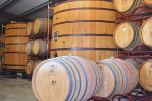 Douro Valley winery visit Portugal image credit Tour Desk web