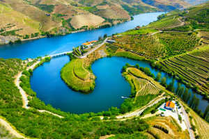 Douro Valley aerial view vineyards summer Portugal iStock 2157841234 web