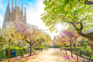 Spain Barcelona Sagrada Familia spring park iStock 2155616655 web
