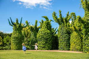 Hamilton Gardens Have You Ever Camilla Rutherford R
