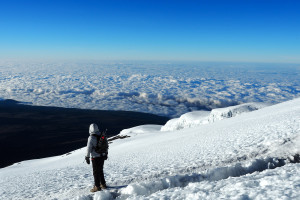 Mount Kilimanjaro hiker Tanzania Africa AdobeStock 310813754 web