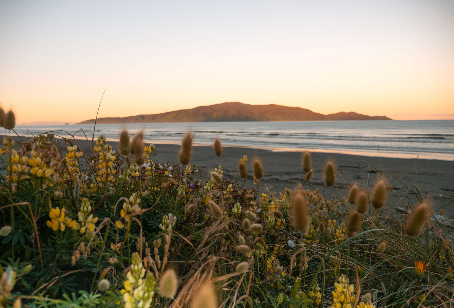 Kapiti Island from Paraparaumu Beach Kapiti Coast R