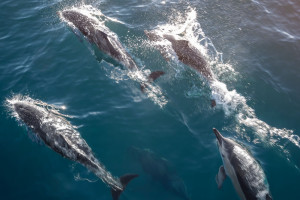 233440 kaikoura canterbury web 2560