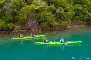 430605 kayaking the marlborough sounds