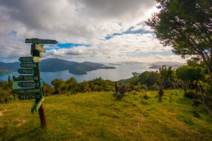430676 the queen charlotte track