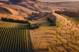 Greystone PurePod perched high above the vineyard   photo credit Astro