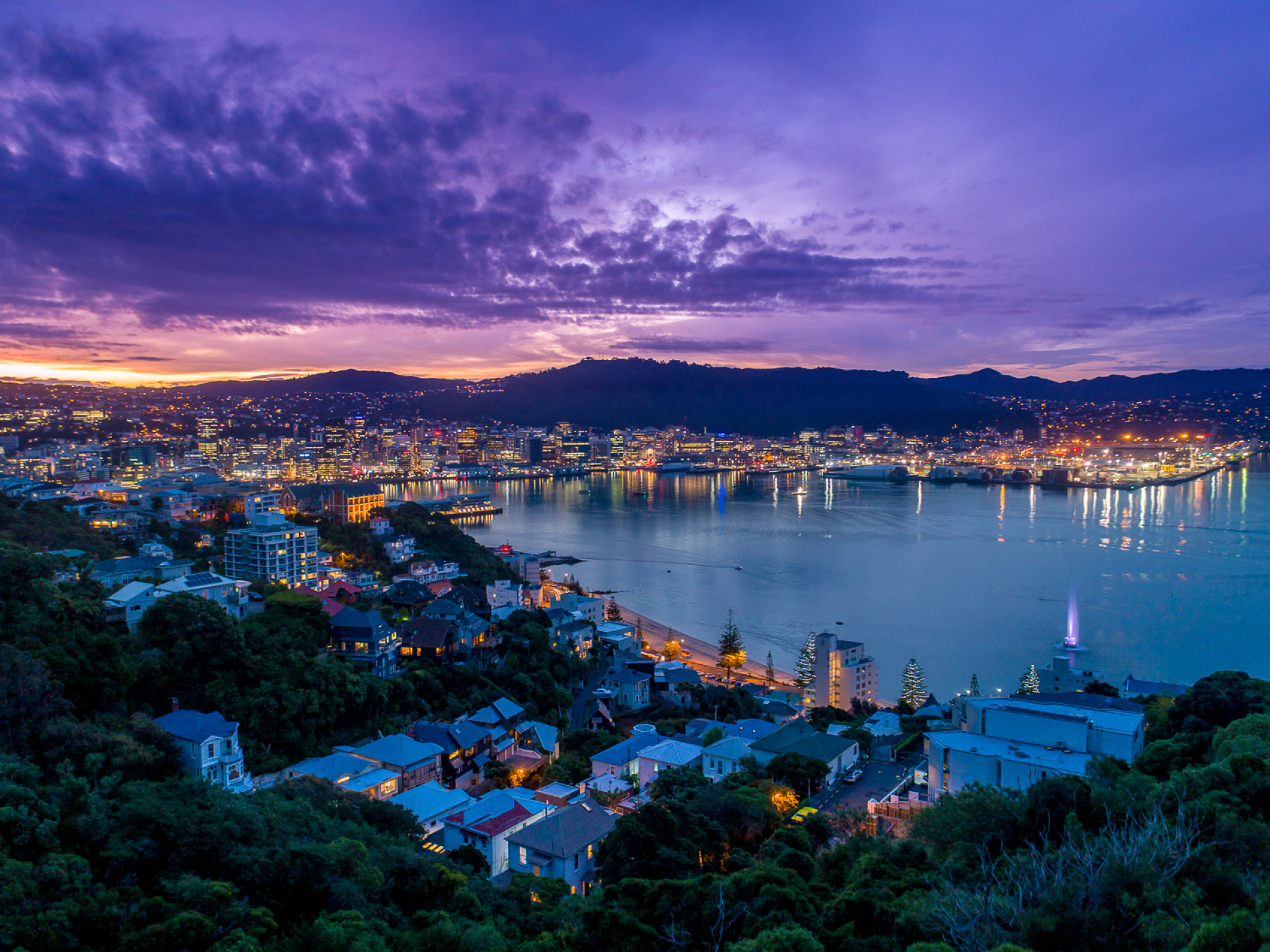 WellingtonNZ