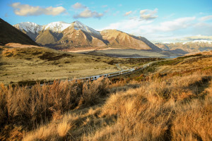 TranzAlpine Cass bank from Long Hill RP169