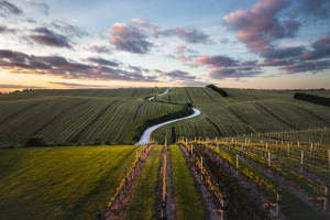 Yealands Estate Winery c. MarlboroughNZ