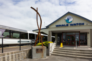 184663 kaikoura railway station R
