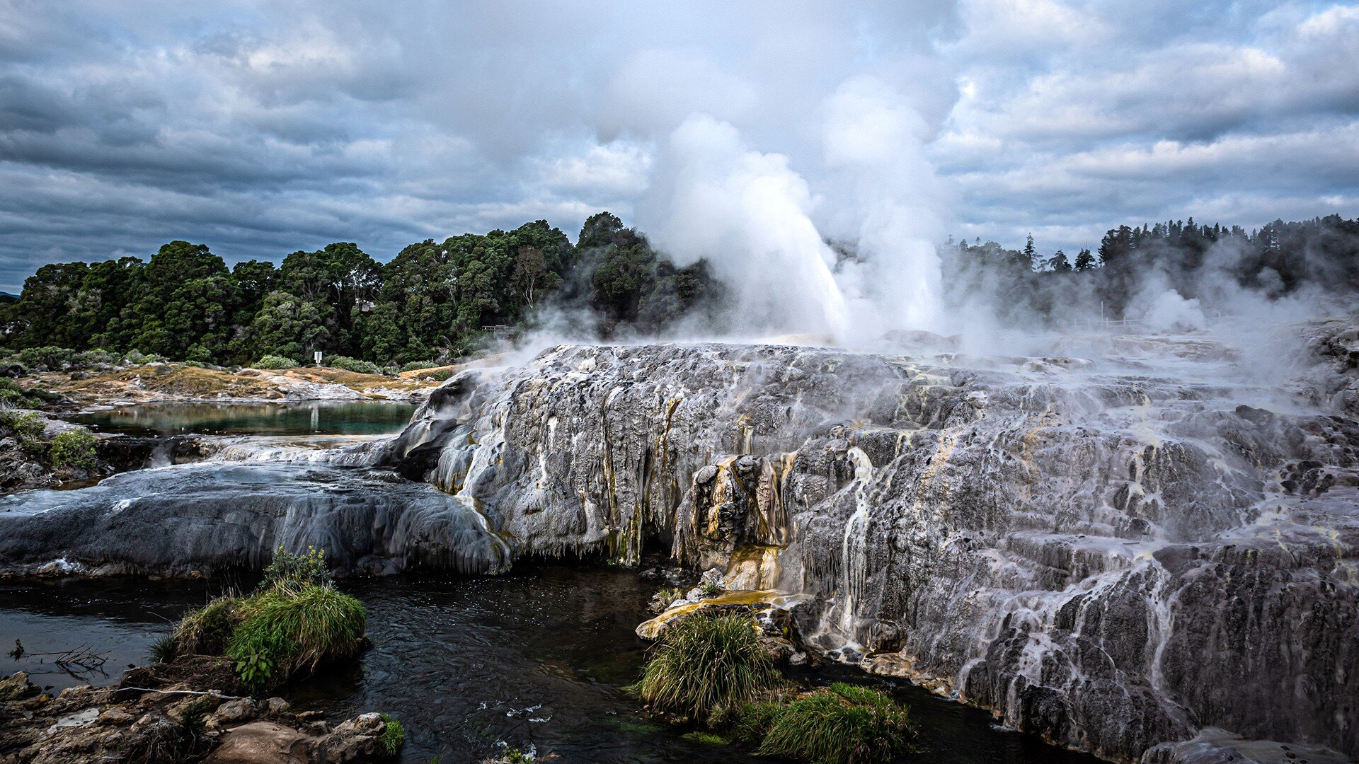 Te Puia Rotorua